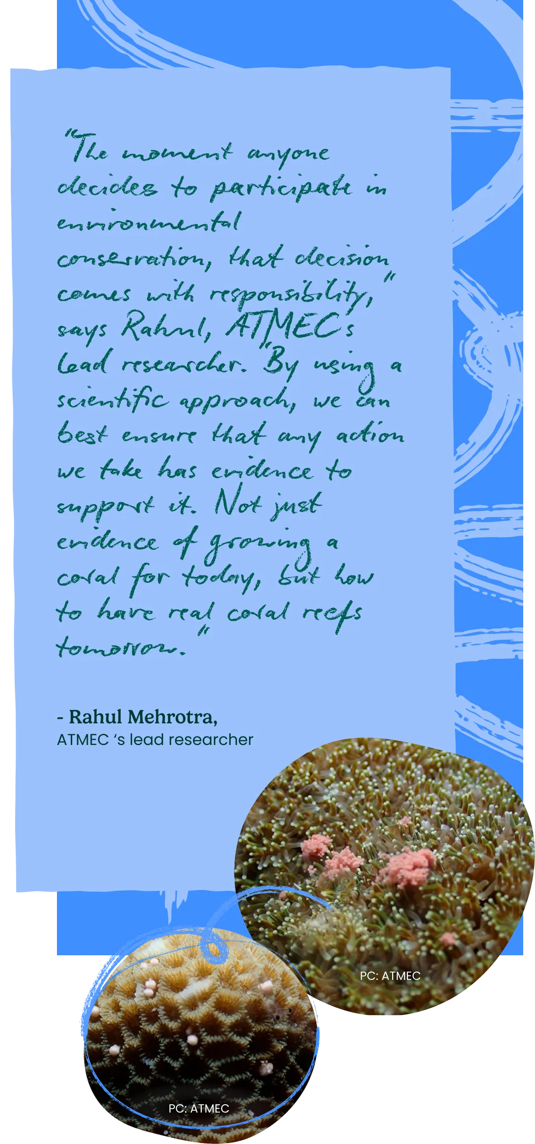 Pull-quote card, with photographs of coral colonies underwater.