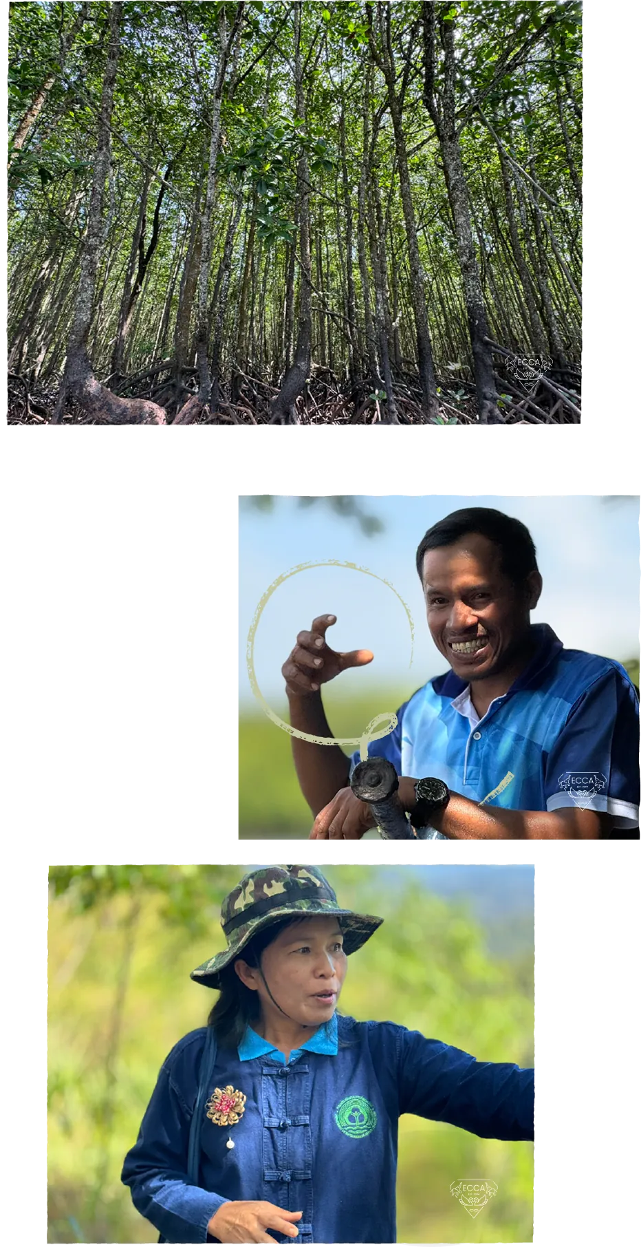 A mangrove forest with tangled roots, with portraits of two community forest members below.