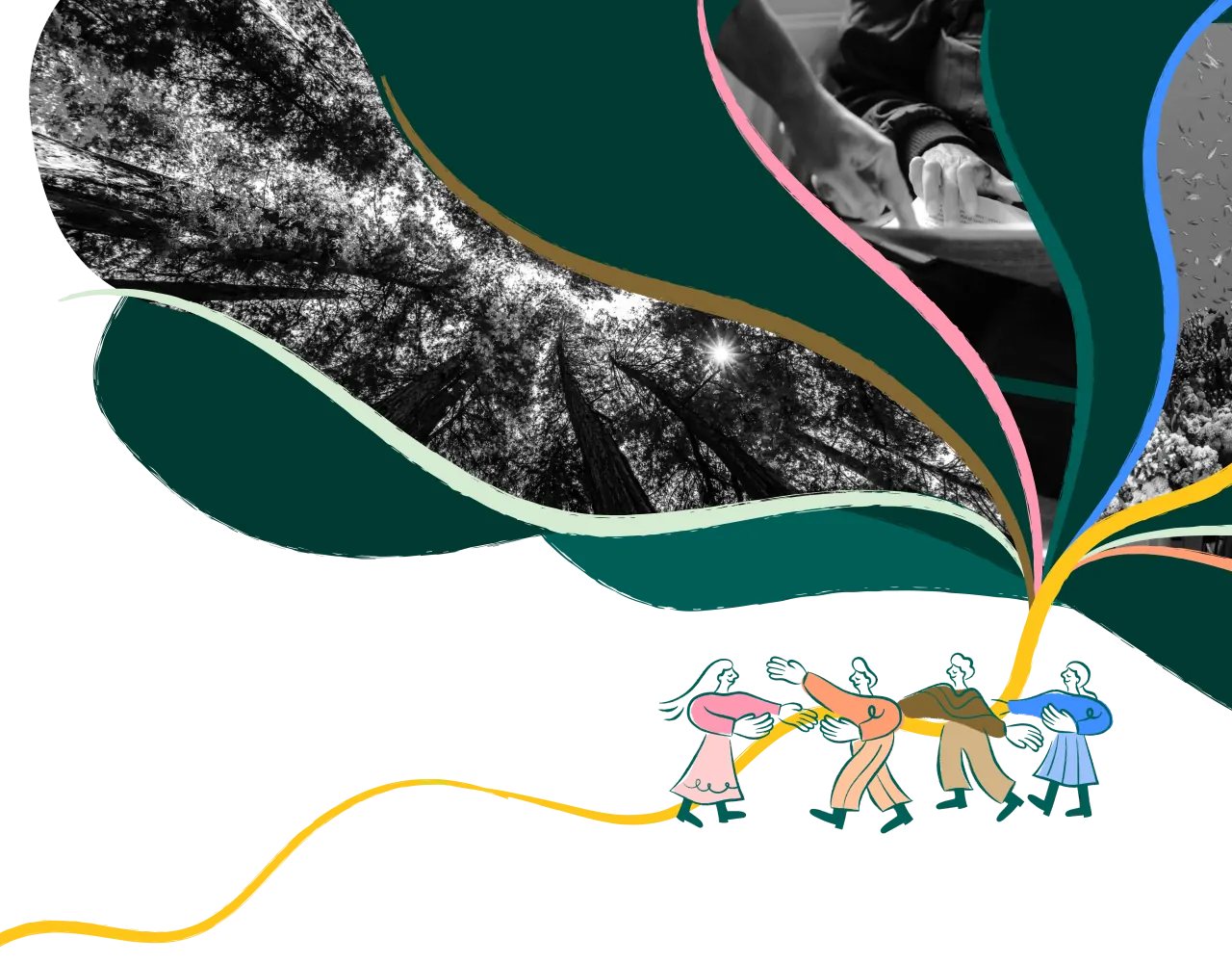A collage of dark green leaves and paint drops blended with a black-and-white forest canopy, overlaid with gold, pink, and blue curved lines and a long yellow line that four illustrated figures are pulling together.