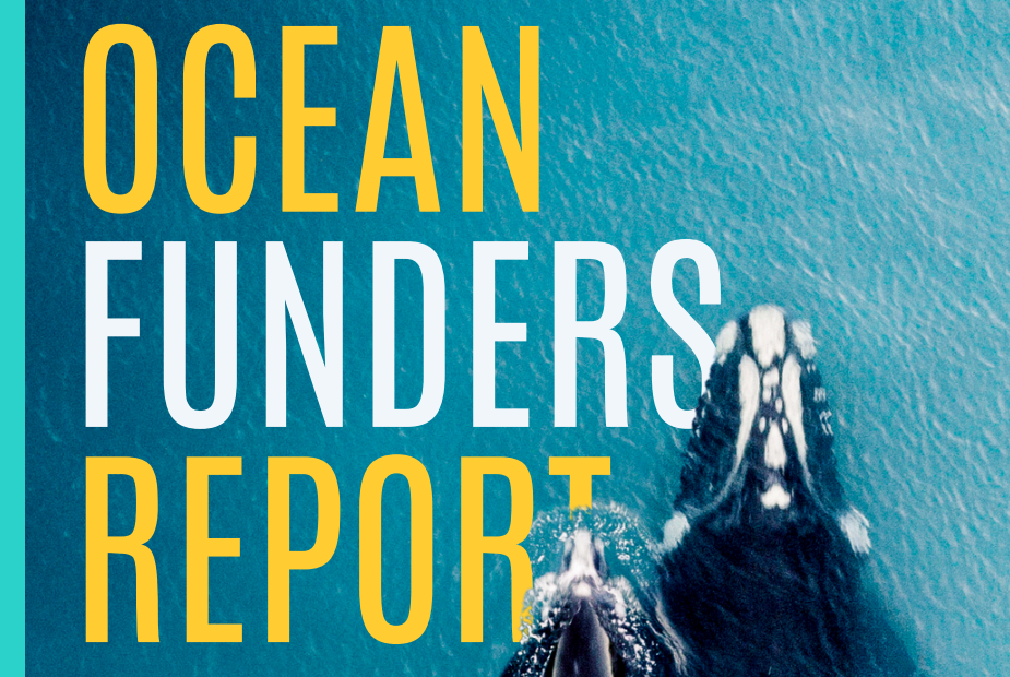 Southeast Asia Ocean Funders Report